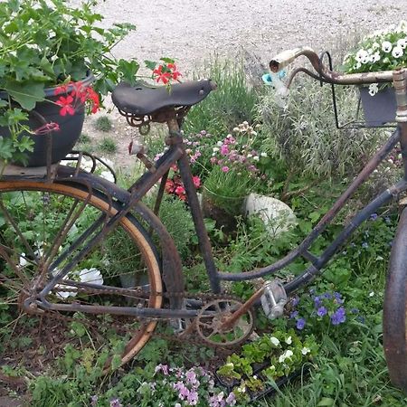 莫雷斯泰勒Basse-Cour De Montin Au 256 Chemin De La Rocaille A 38510 Vezeronce Curtin住宿加早餐旅馆 外观 照片