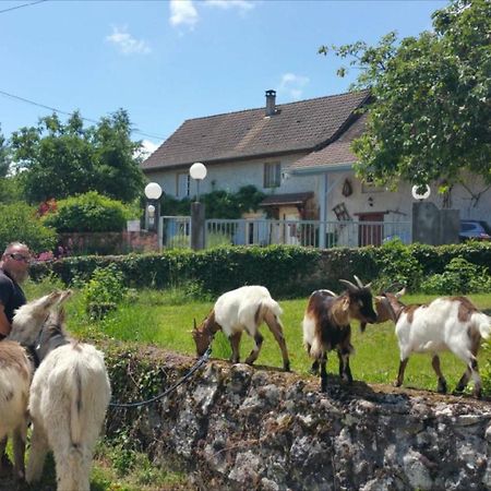 莫雷斯泰勒Basse-Cour De Montin Au 256 Chemin De La Rocaille A 38510 Vezeronce Curtin住宿加早餐旅馆 外观 照片