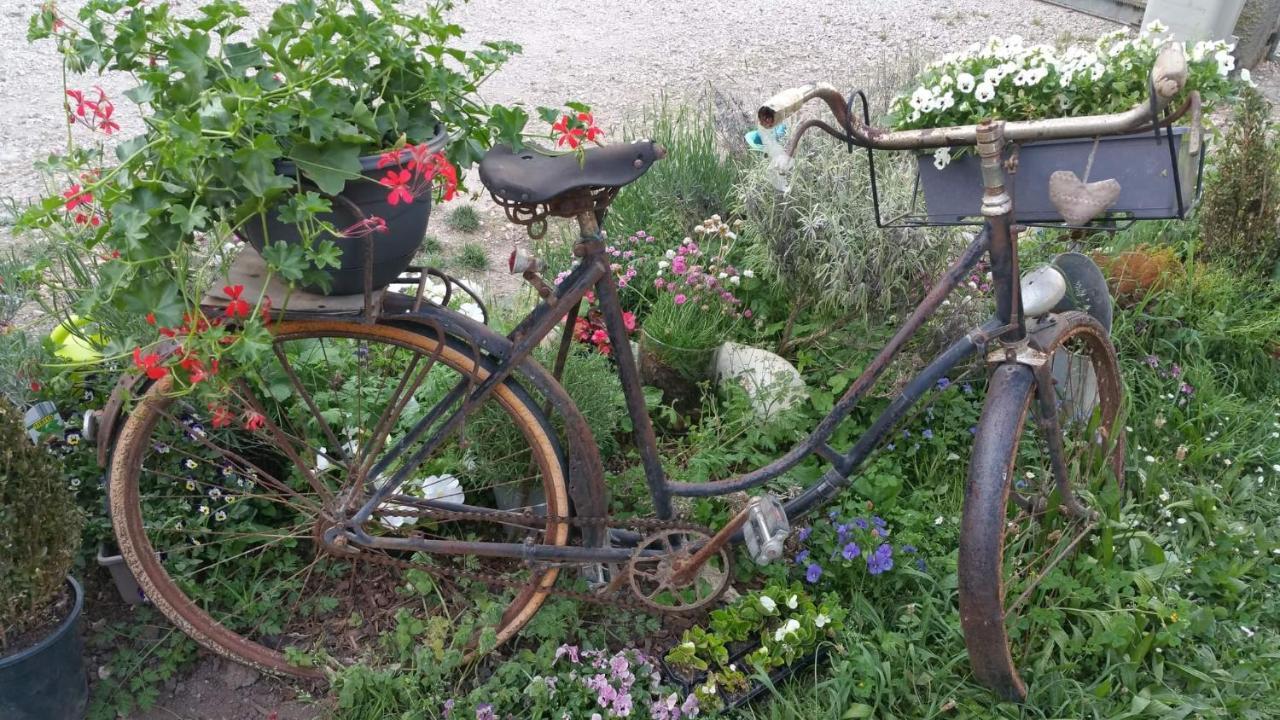 莫雷斯泰勒Basse-Cour De Montin Au 256 Chemin De La Rocaille A 38510 Vezeronce Curtin住宿加早餐旅馆 外观 照片