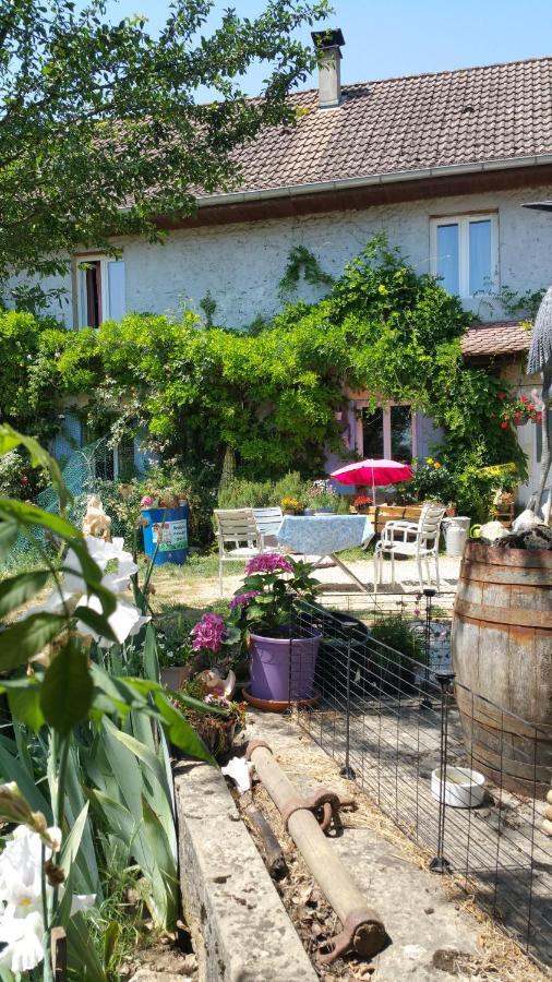 莫雷斯泰勒Basse-Cour De Montin Au 256 Chemin De La Rocaille A 38510 Vezeronce Curtin住宿加早餐旅馆 外观 照片