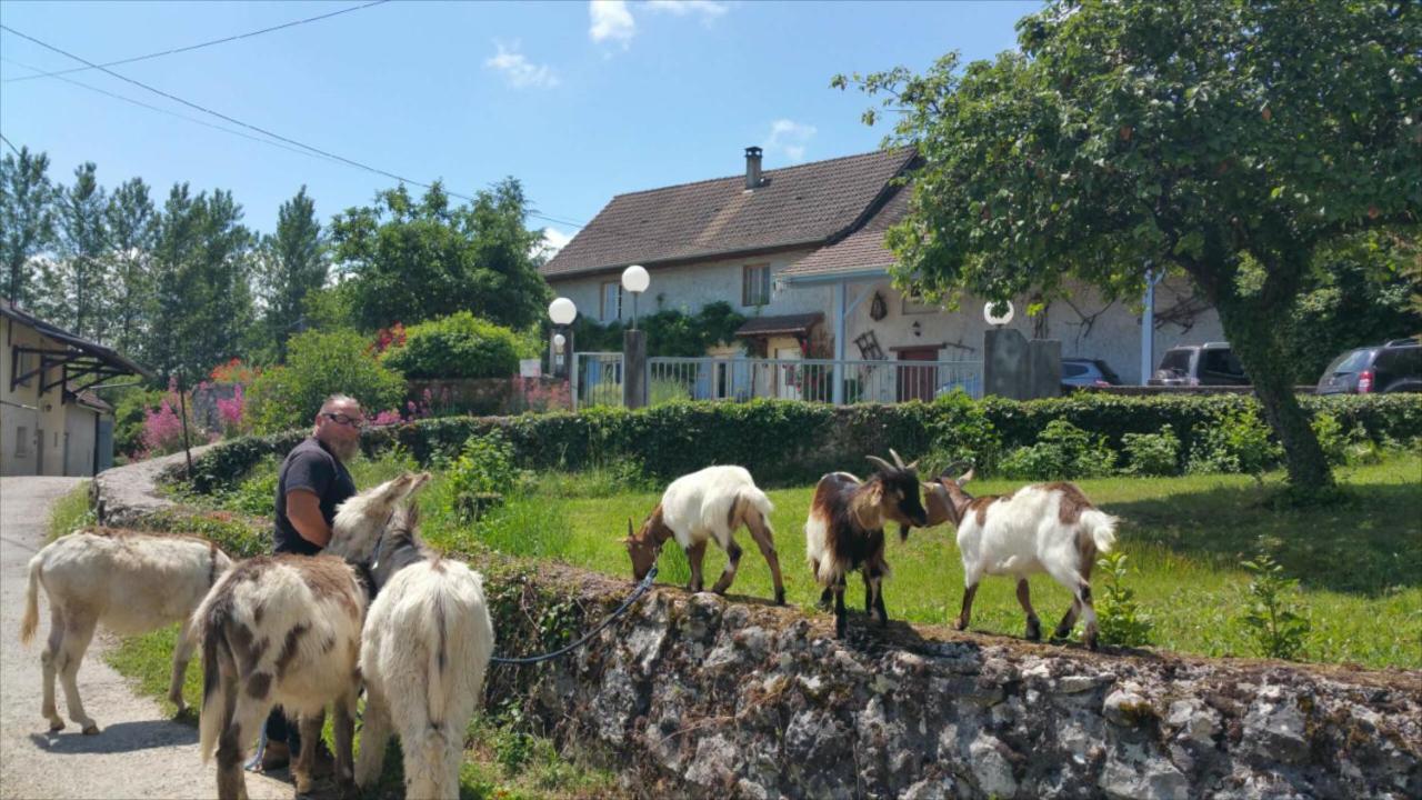 莫雷斯泰勒Basse-Cour De Montin Au 256 Chemin De La Rocaille A 38510 Vezeronce Curtin住宿加早餐旅馆 外观 照片