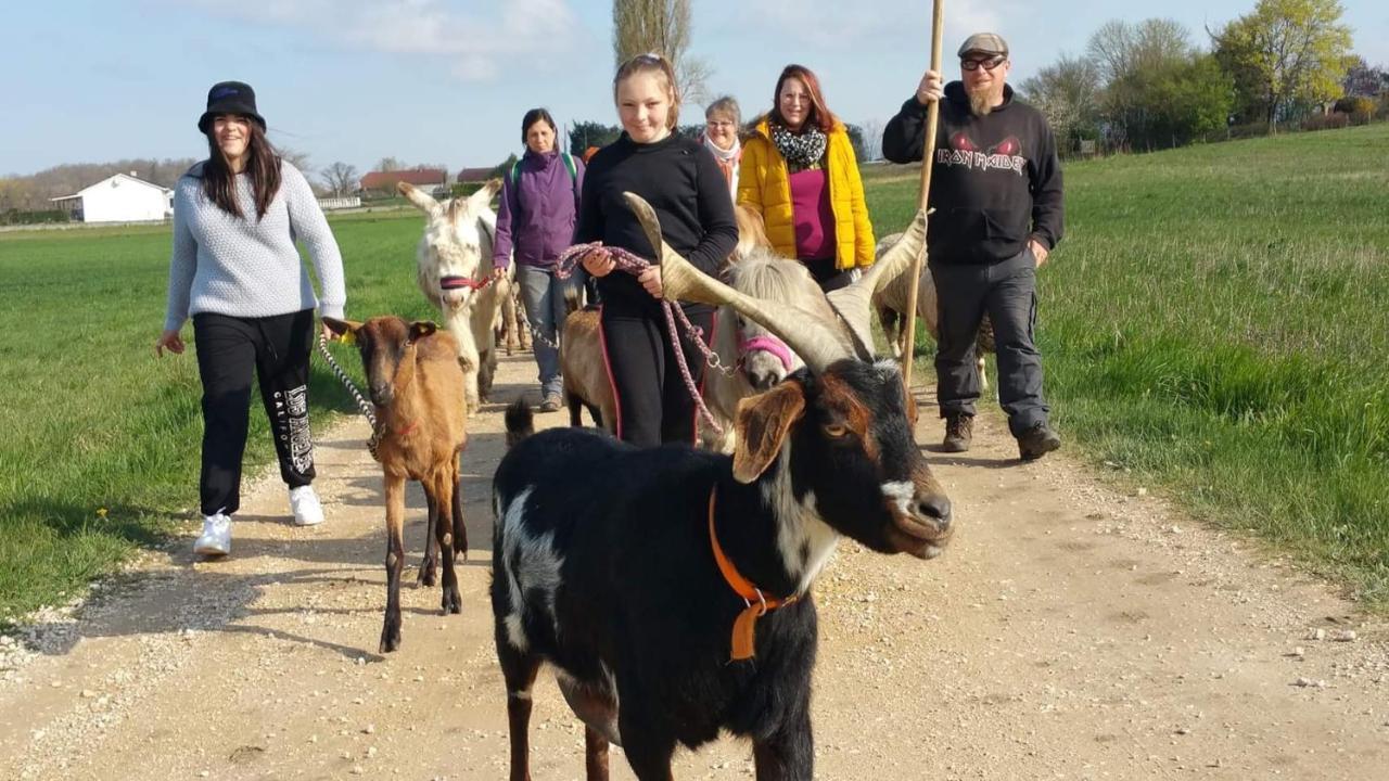 莫雷斯泰勒Basse-Cour De Montin Au 256 Chemin De La Rocaille A 38510 Vezeronce Curtin住宿加早餐旅馆 外观 照片