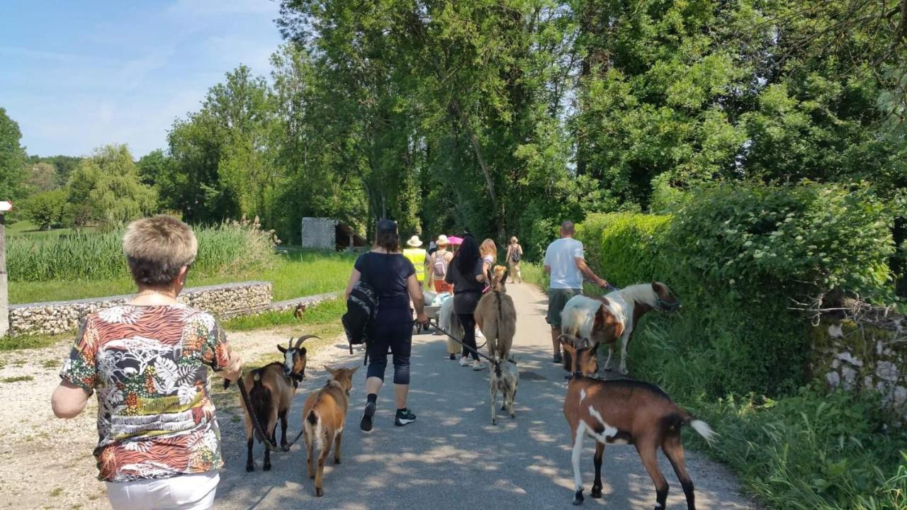 莫雷斯泰勒Basse-Cour De Montin Au 256 Chemin De La Rocaille A 38510 Vezeronce Curtin住宿加早餐旅馆 外观 照片